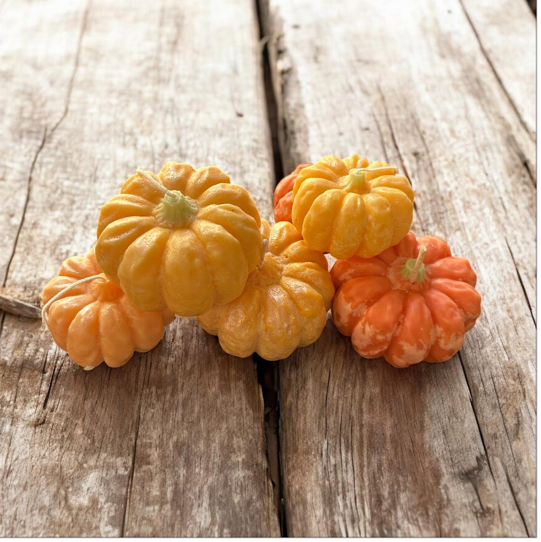 Autumn Glow pumpkin candle